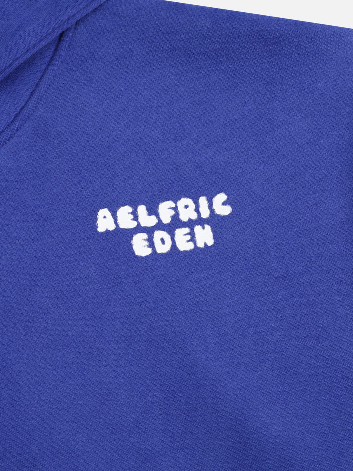 Aelfric Eden Boxy Dachshund Graphic Hoodie - Image 8