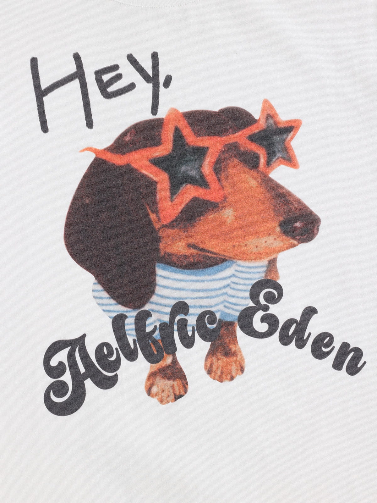 Aelfric Eden Dachshund Graphic Tee - Image 3