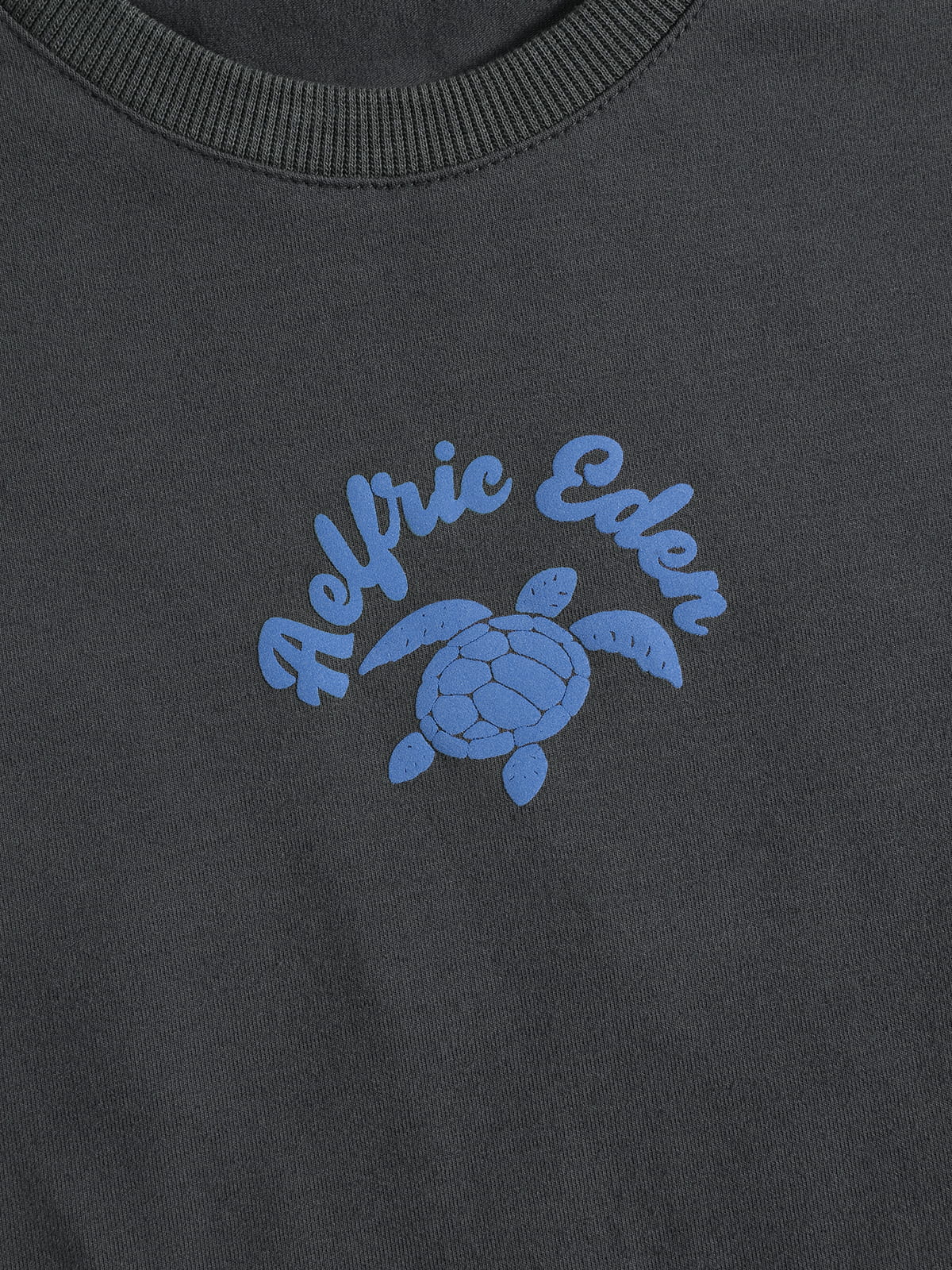 Aelfric Eden Turtle Graphic Baby Tee - Image 6