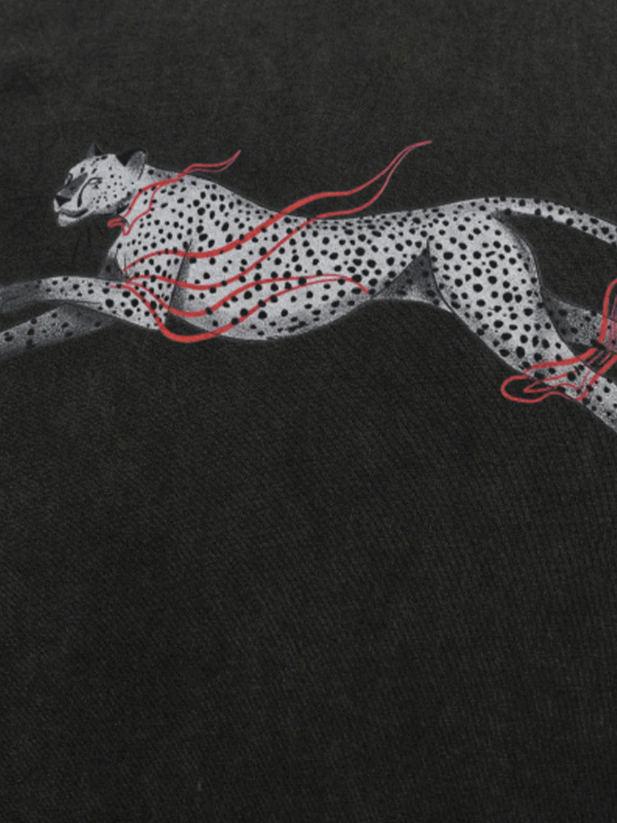 Aelfric Eden Washed Leopard T-Shirt - Image 3